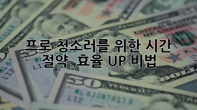 ✨ 프로 청소러를 위한 시간 절약 & 효율 UP 비법 🚀