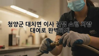 청양군 대치면 이사 꿀팁🍯 소형 차량 대여로 완벽하게!