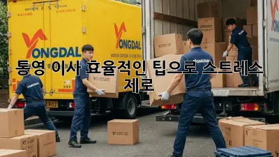 통영 이사, 효율적인 팁으로 스트레스 제로!